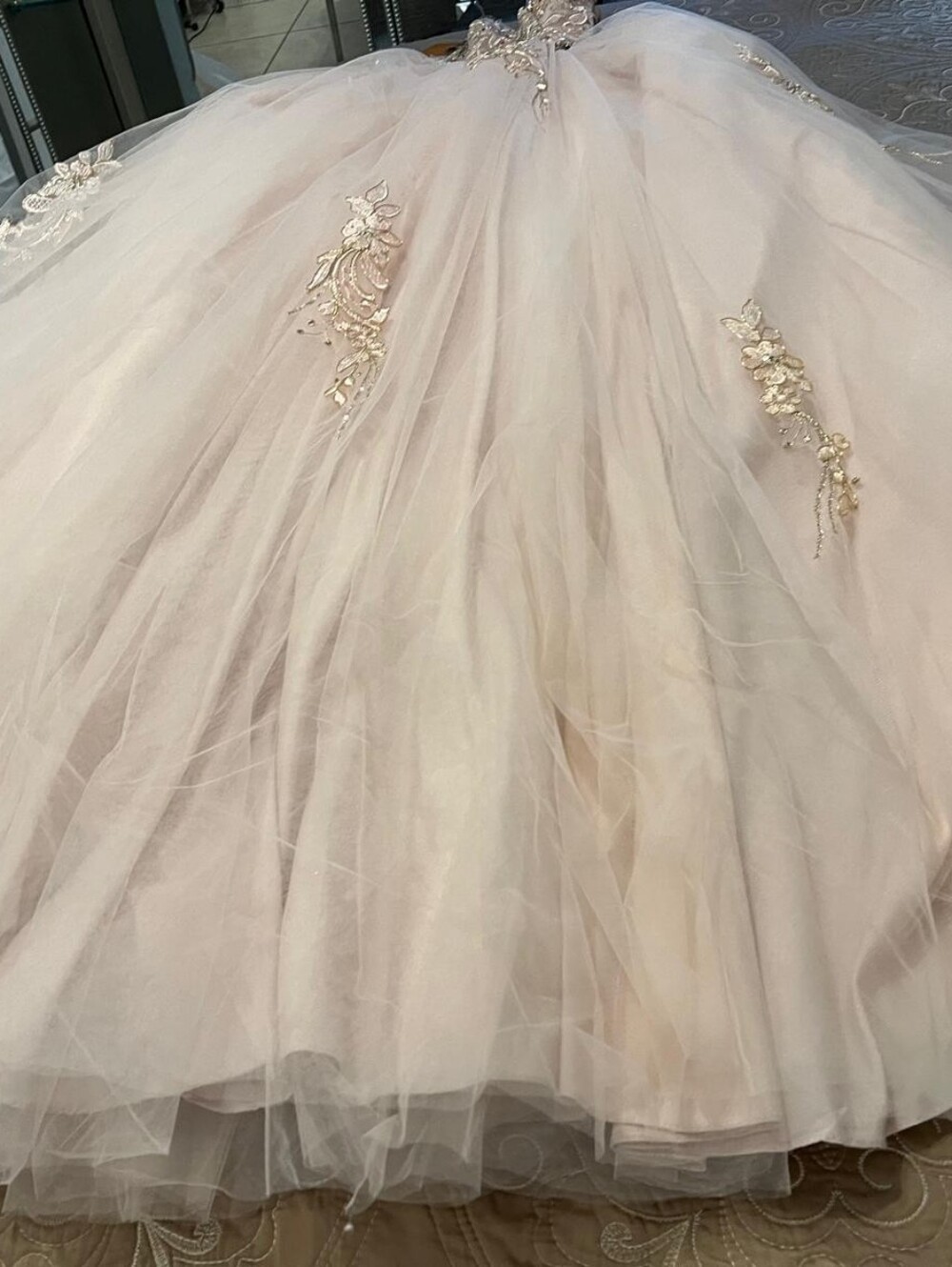 Blush Pink Ball Gown with Embroidered Bodice - Picture 3 of 16
